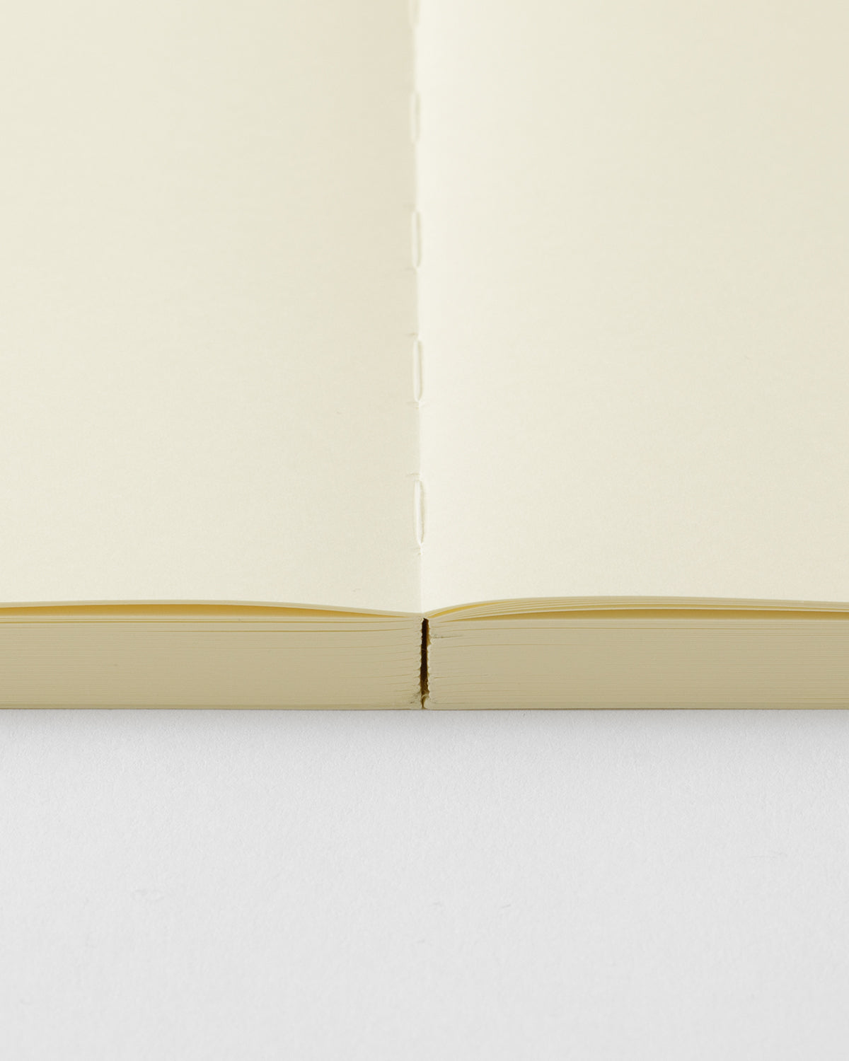 MDノート1日1ページA5無罫／MD Notebook Codex 1 Day 1Page A5 Blank