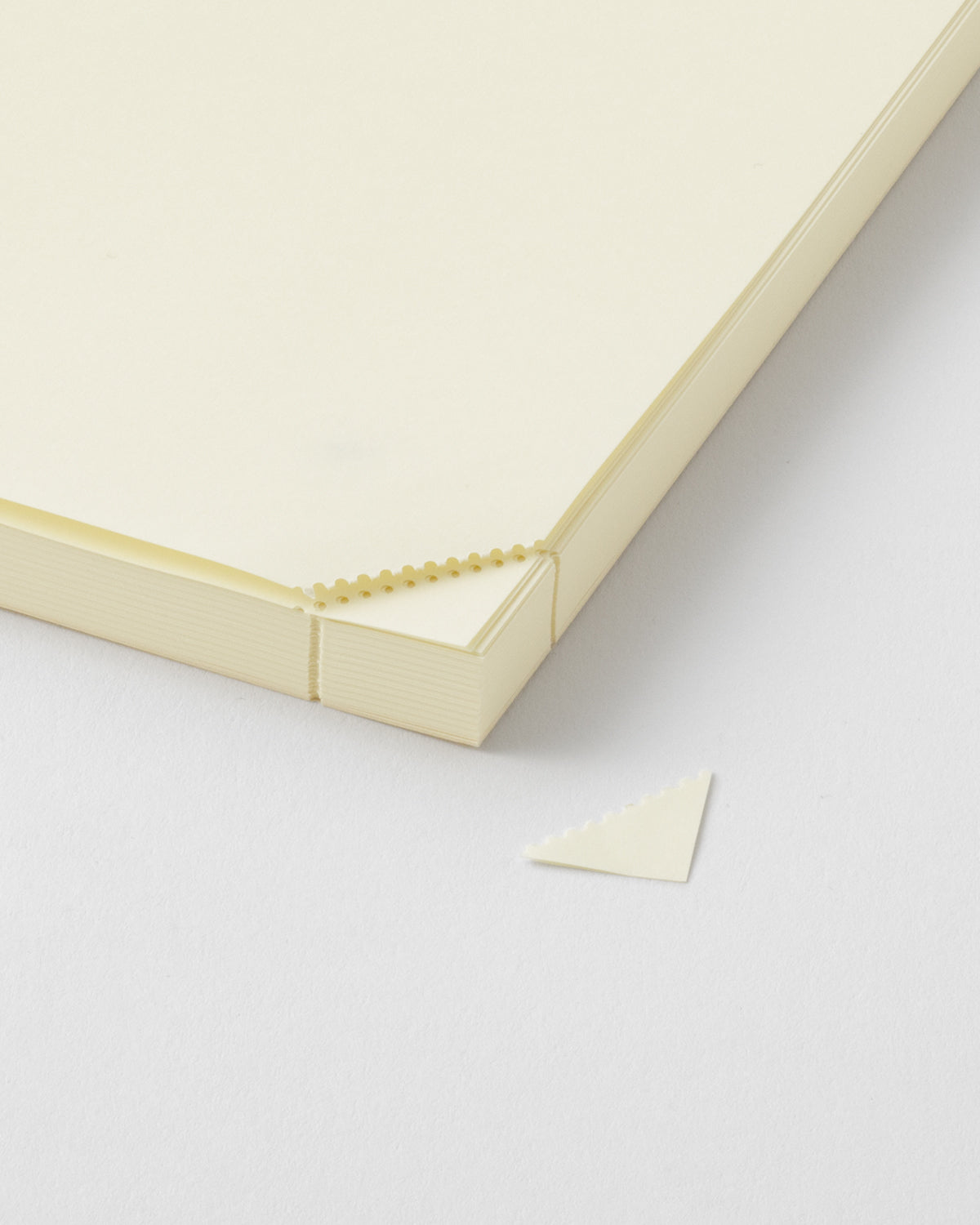 MIDORI MD Notebook - Codex 1 Day 1 Page (A5, Blank)