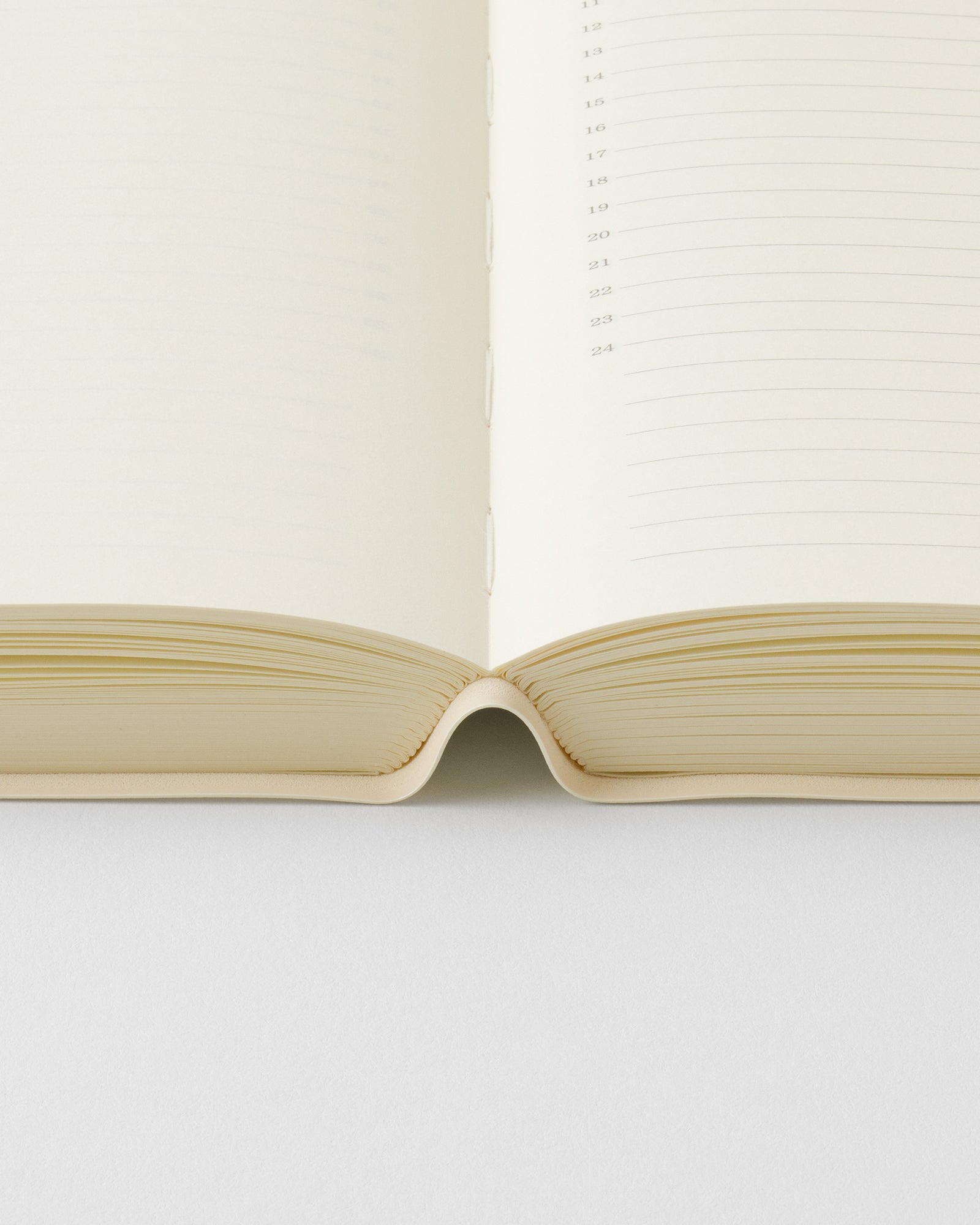 _MDノートダイアリー 1日1ページ//MD Notebook Diary 1 Day 1 Page