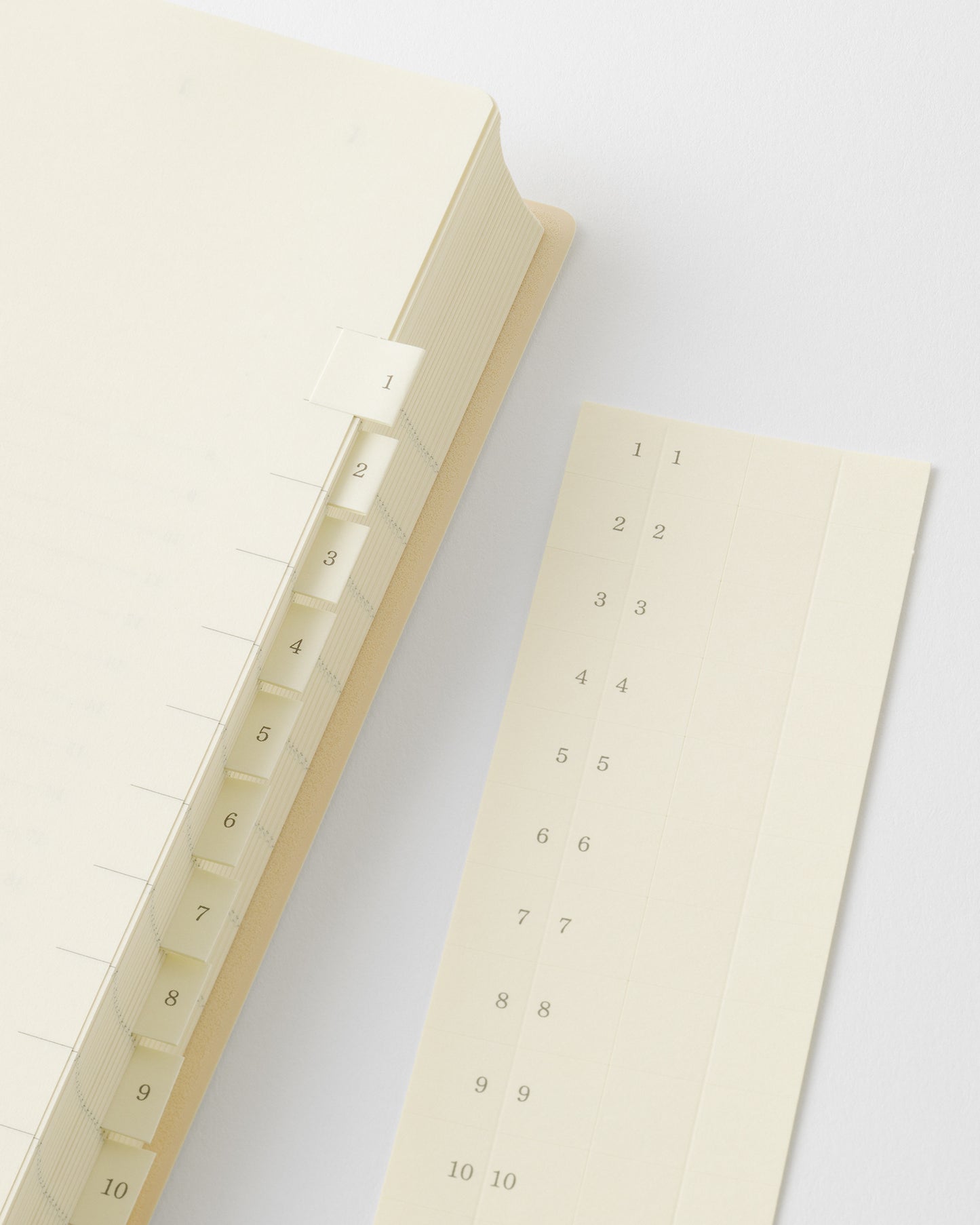 _MDノートダイアリー 1日1ページ//MD Notebook Diary 1 Day 1 Page