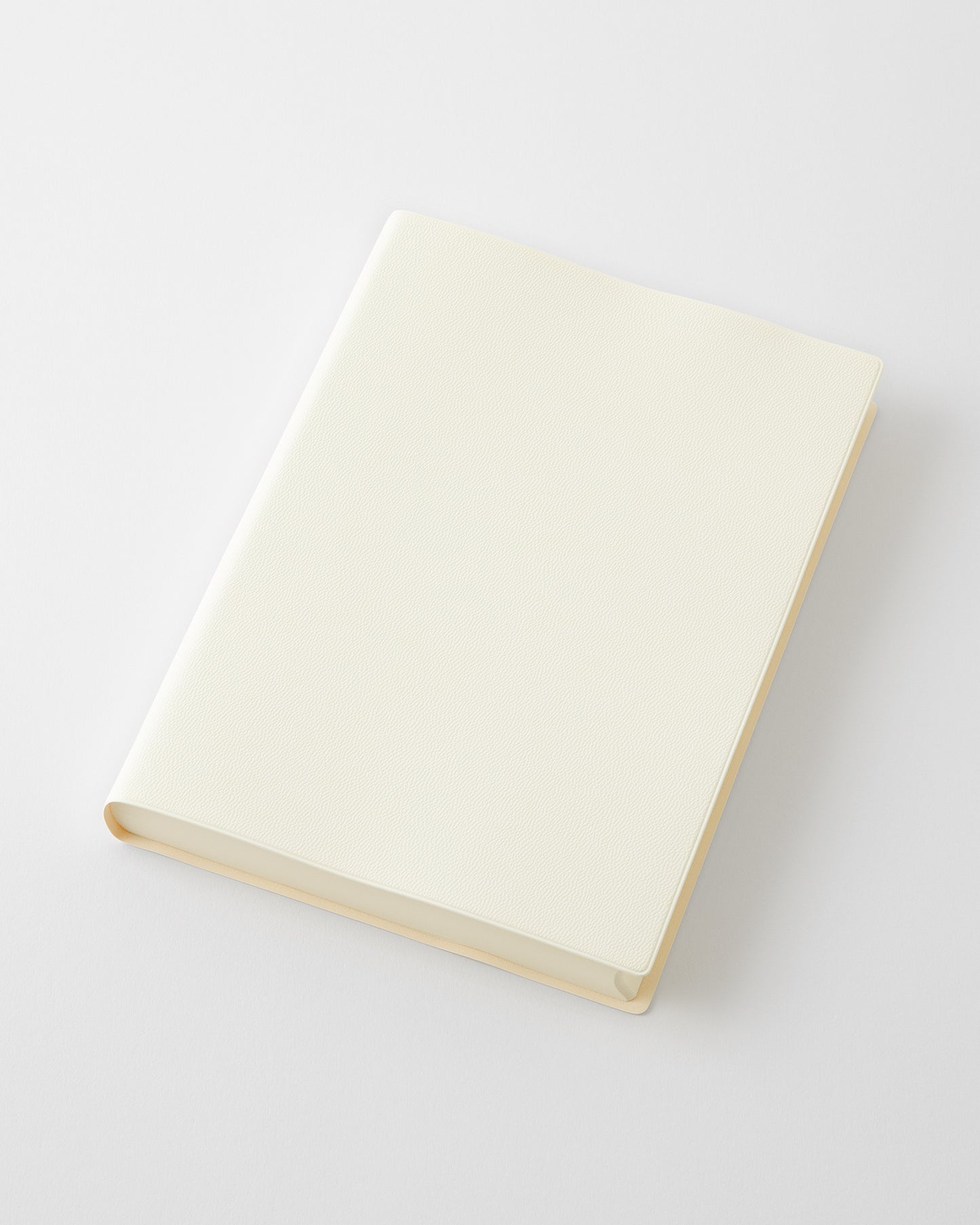 _MDノートダイアリー 1日1ページ//MD Notebook Diary 1 Day 1 Page