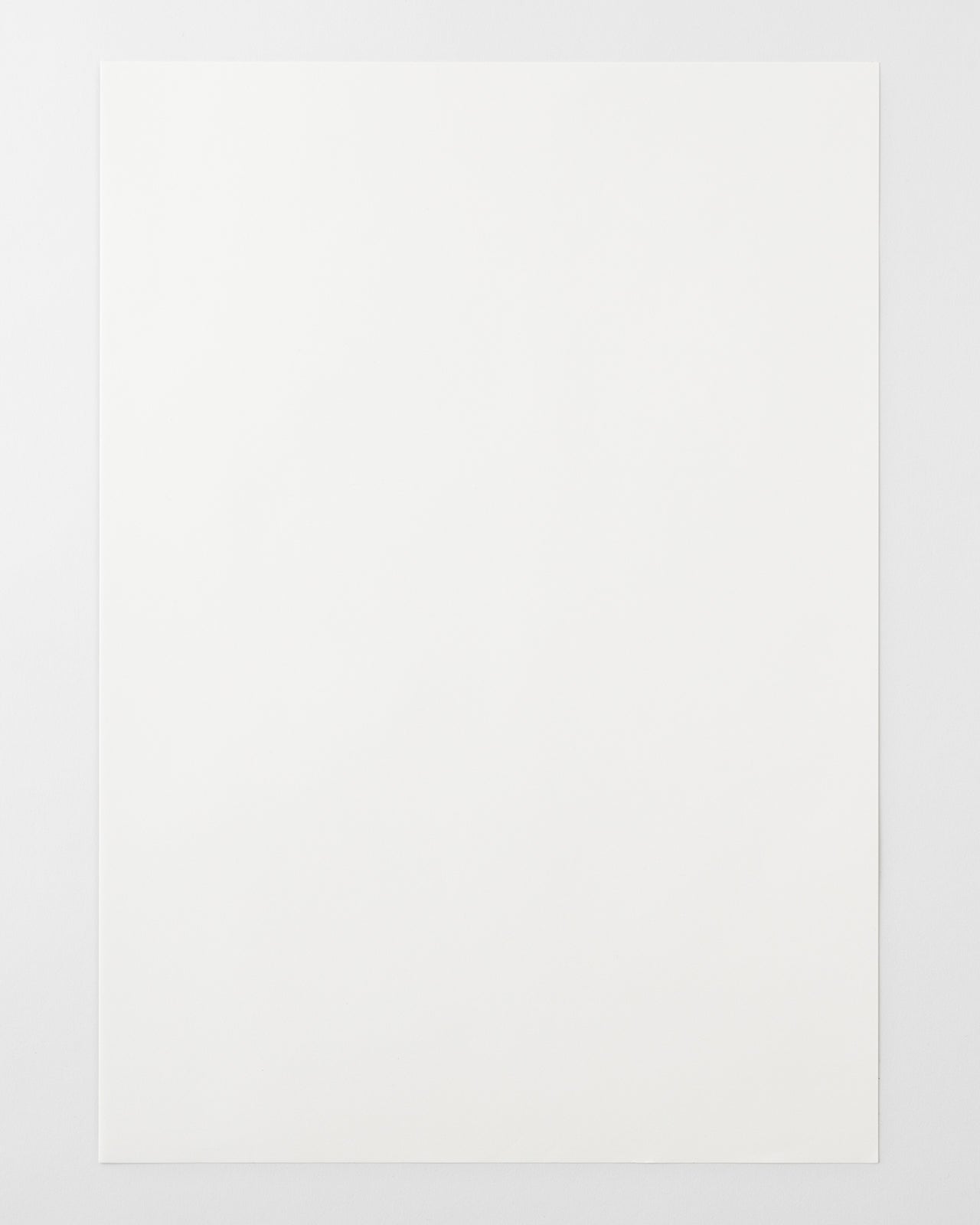 MD用紙コットンA3／MD PAPER Cotton A3